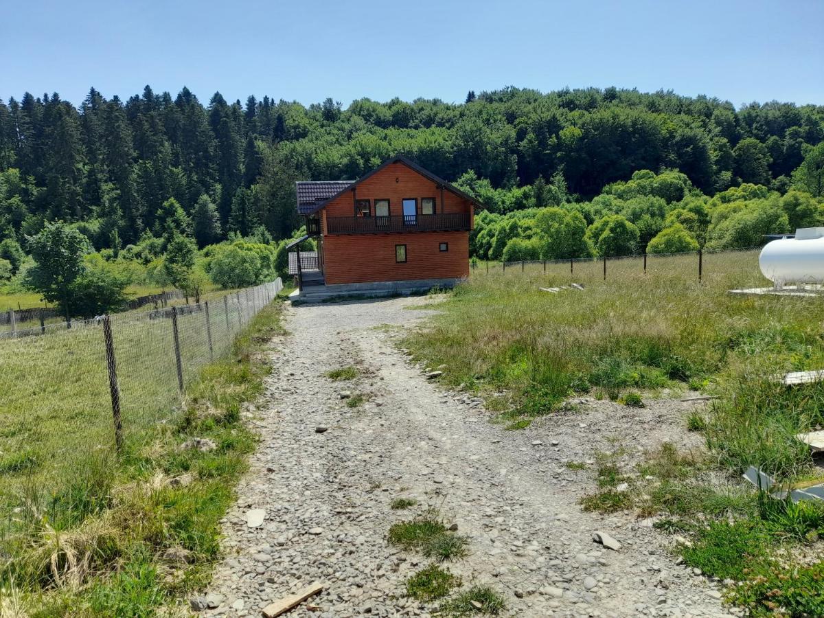 Вілла Casa Lucretiu Paltinoasa Екстер'єр фото